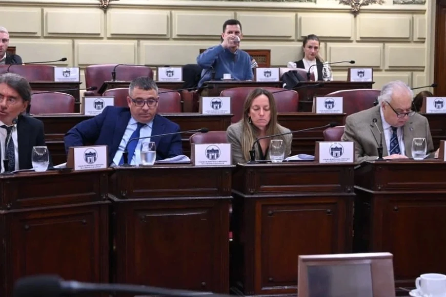 camara de diputados
